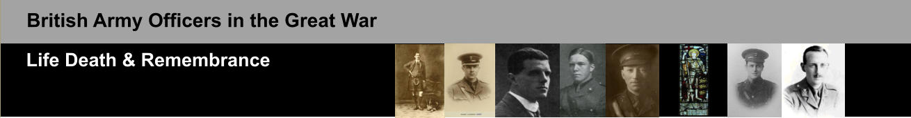 British Army Officers in the Great War Life Death & Remembrance